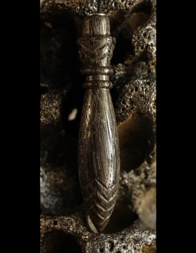 Chêne des tourbières / Origine : France / 77€